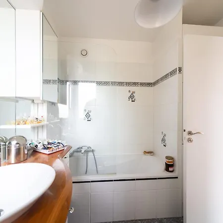 Spacious With Terrace And Parking * Vanves