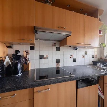 Appartement Spacious With Terrace And Parking Vanves
